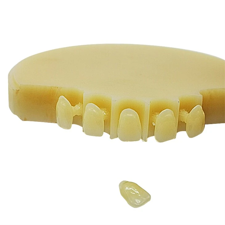 Dental PMMA Disk